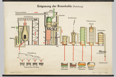 Ein farbig bedrucktes Rollbild mit verschiedenen Zeichnungen.