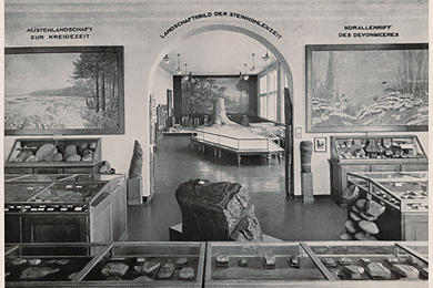 Der Blick in zwei Räume des Geologischen Museums zeigt Vitrinen mit Ausstellungsstücken und drei große Gemälde mit Darstellungen von Landschaften aus verschiedenen Abschnitten der Erdgeschichte.